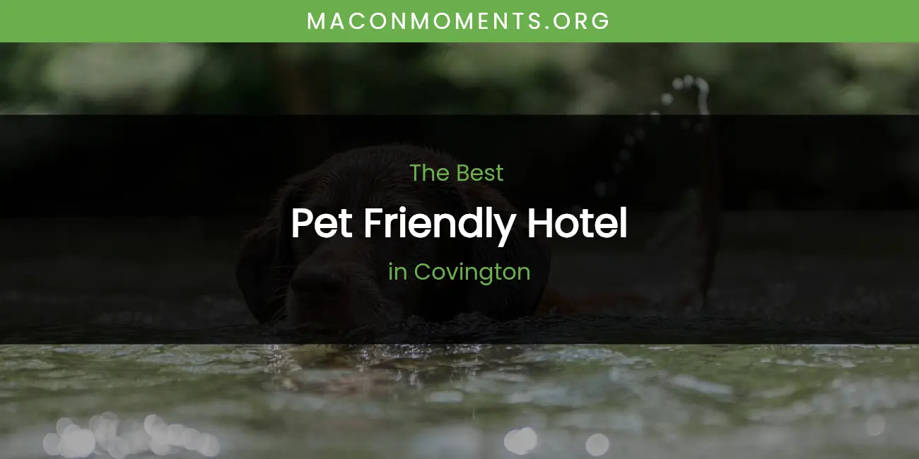 The Absolute Best Pet Friendly Hotel in Covington featured