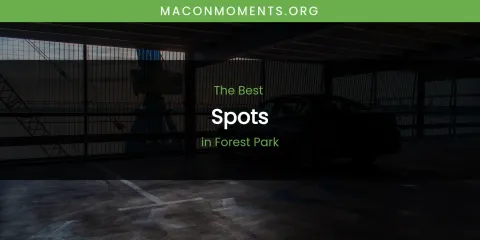 The Absolute Best Spots in Forest Park