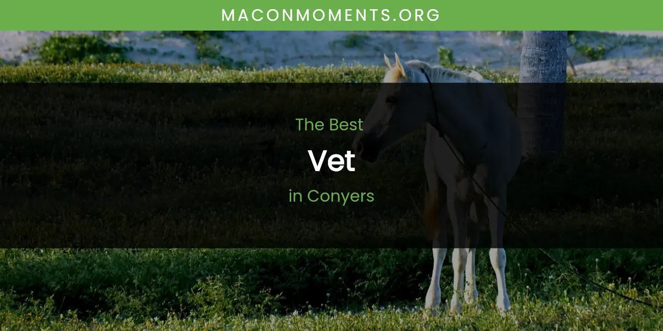 The Absolute Best Vet in Conyers featured